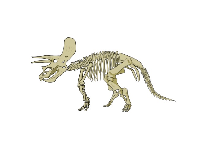 Cryptaceous Creations – screenshot 1