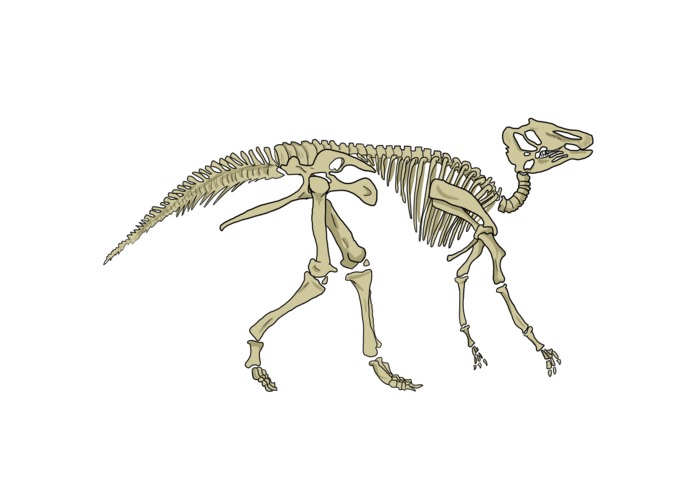 Cryptaceous Creations – screenshot 5