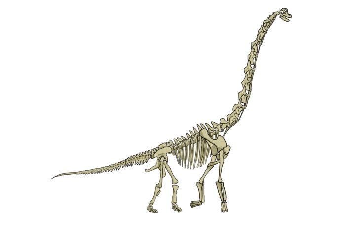 Cryptaceous Creations – screenshot 9