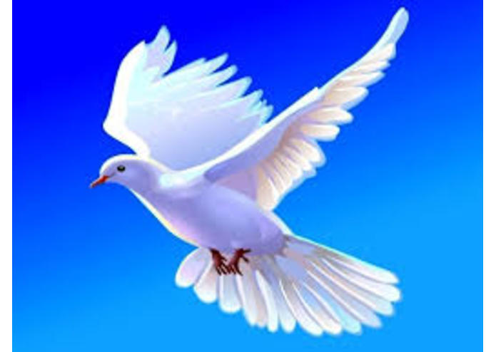 waale – screenshot 1