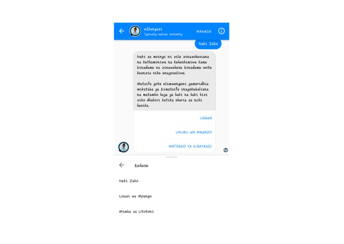 eShangazi Chat Bot – screenshot 5