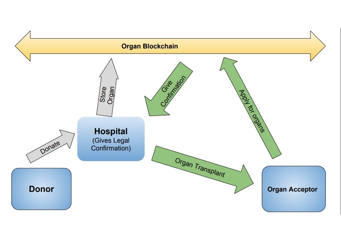 OrganChain – screenshot 1