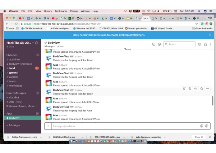 BirdView – screenshot 3