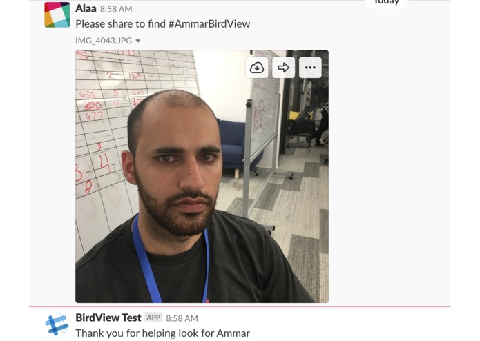 BirdView – screenshot 1