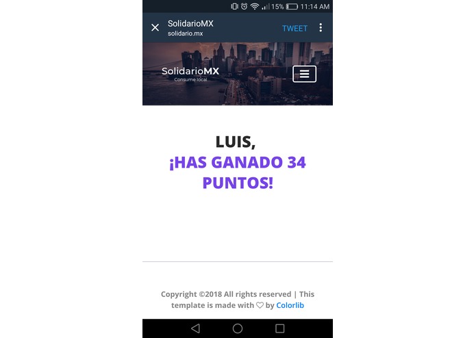 11 - Solidario Mx – screenshot 4