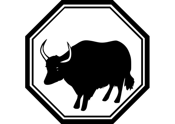 #80 FindMe – screenshot 1