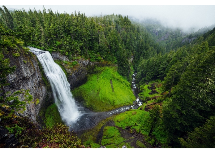 No Plastic – screenshot 7