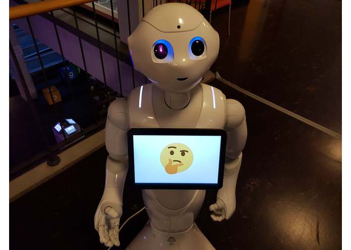 Sergeant Pepper – screenshot 1