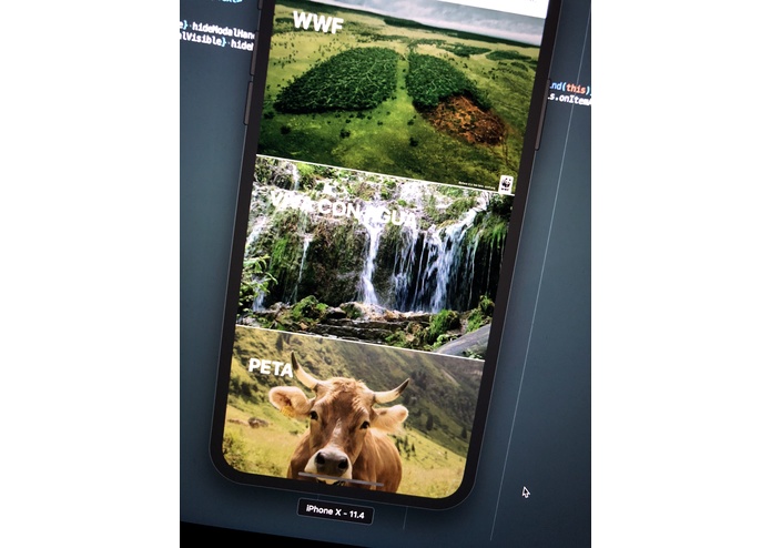 EFEFEF - Balancing Earth, Health and Self – screenshot 3