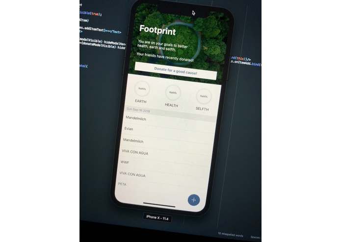 EFEFEF - Balancing Earth, Health and Self – screenshot 4