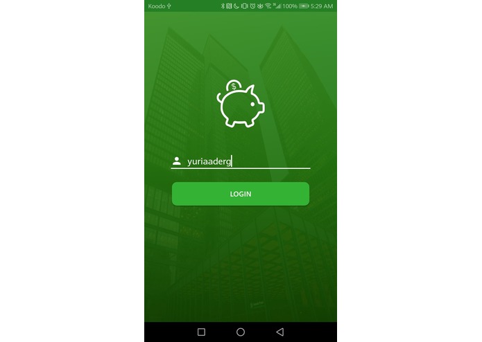 BudgetBuddy – screenshot 2