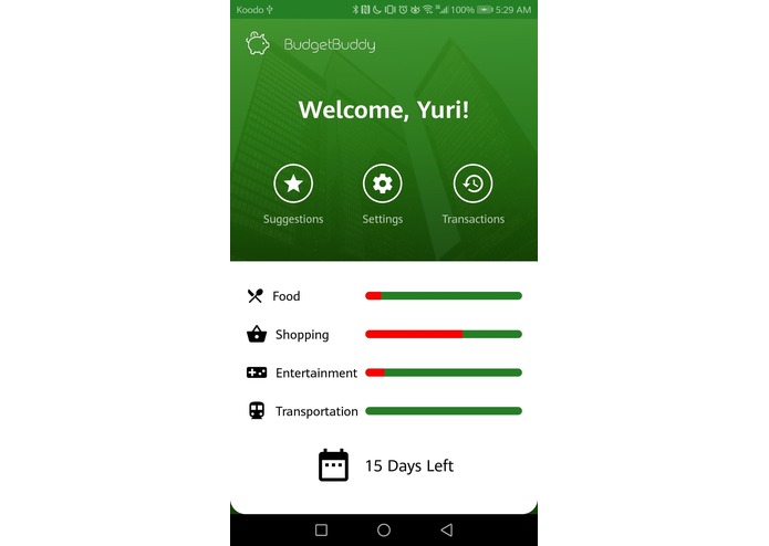 BudgetBuddy – screenshot 4