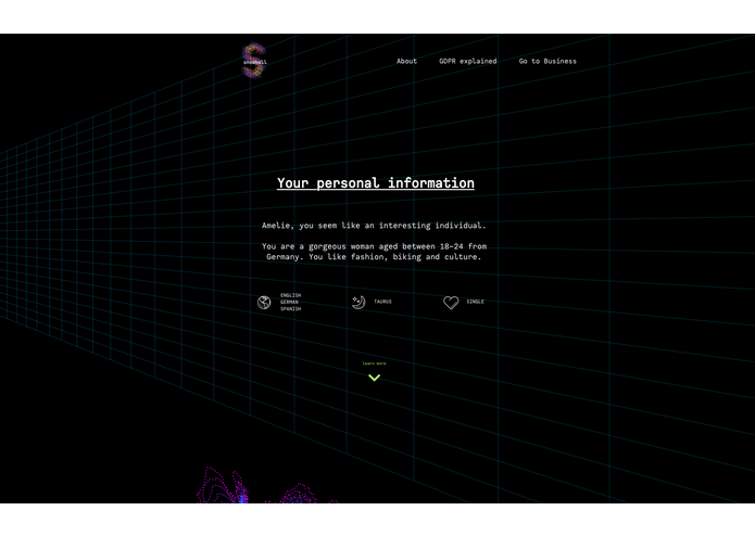 GDPR Snowball  – screenshot 8