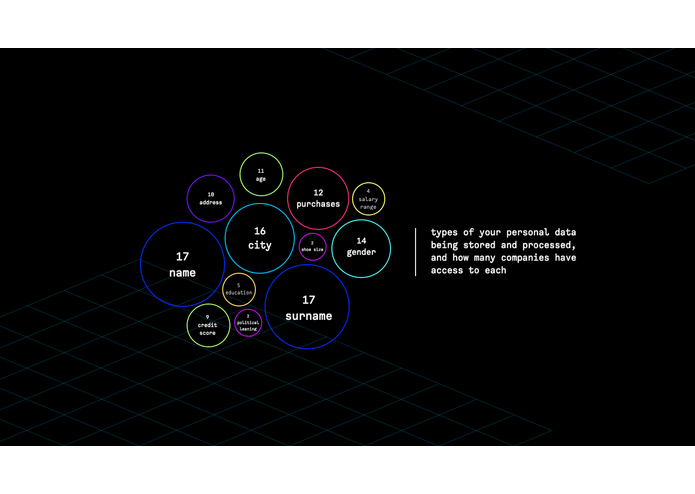 GDPR Snowball  – screenshot 6