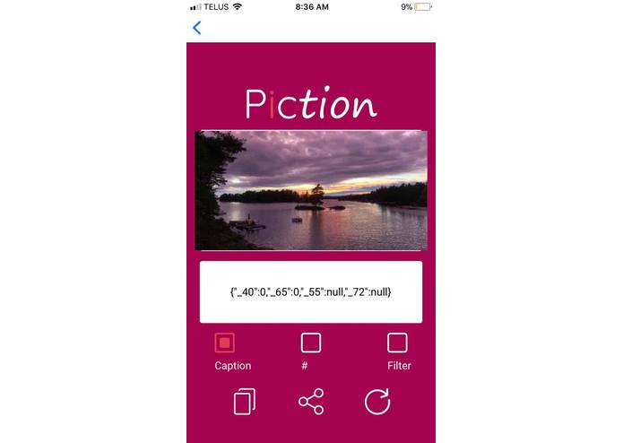 Piction – screenshot 3