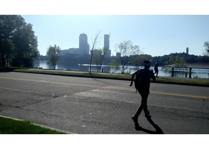 Crossy Road – screenshot 1