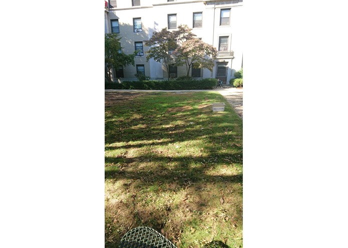 RealFuture – screenshot 2