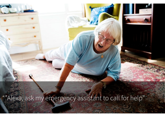 Care Assistant - Emergency – screenshot 1