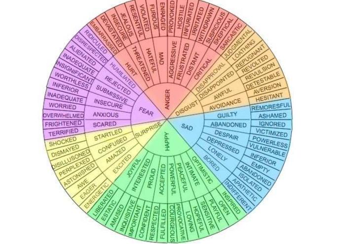 Emotion_Dictionary_Vol – screenshot 1