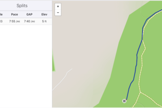 GPS Activity Corrector