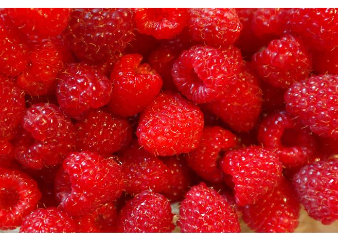 LitEats – screenshot 1