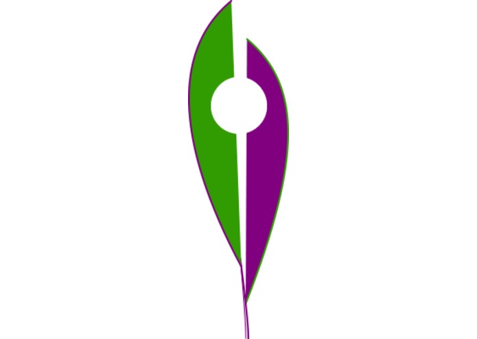 Feather (2_pargo team) – screenshot 1