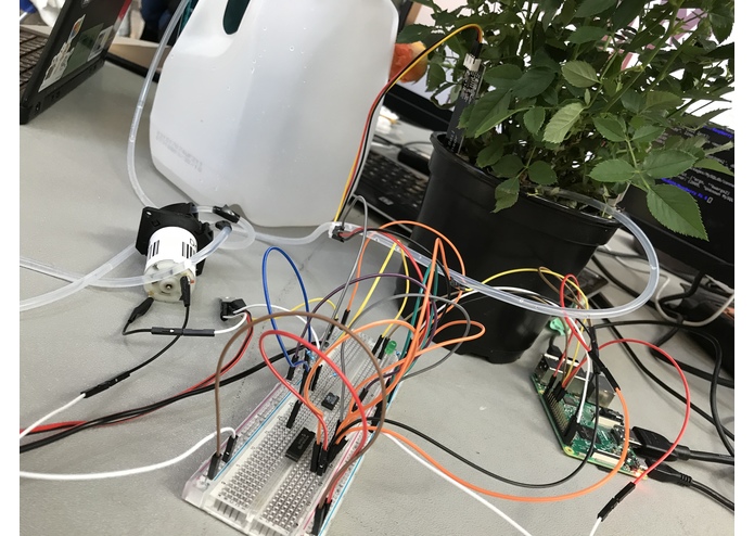 Howdy Sprinkler – screenshot 5