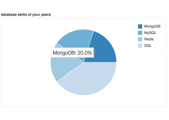 PeerSkills – screenshot 1