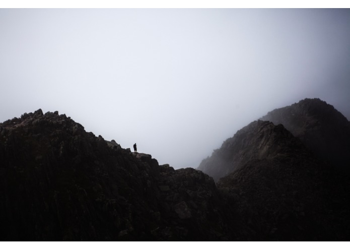 Park Ranger Manager – screenshot 4