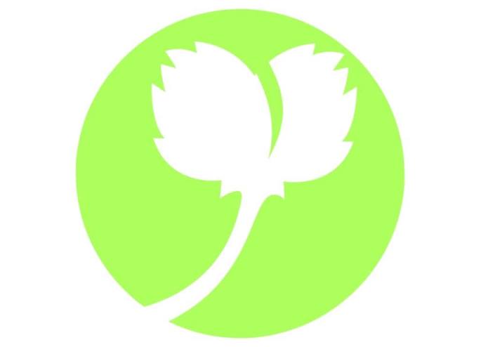 Project No.1 – screenshot 1