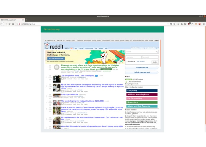 Not Archive.org – screenshot 2