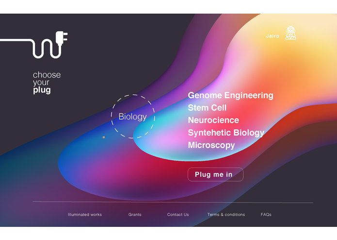 The PLUG – screenshot 6