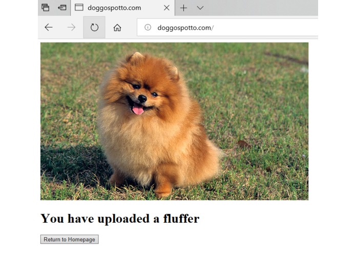 Doggo Spotto – screenshot 1