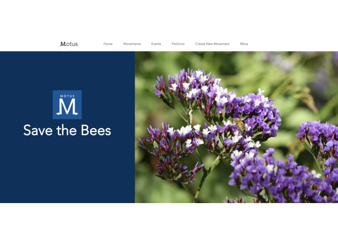 Motus – screenshot 3