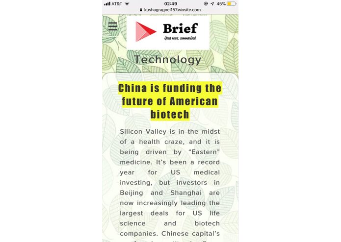 Brief-ai – screenshot 1