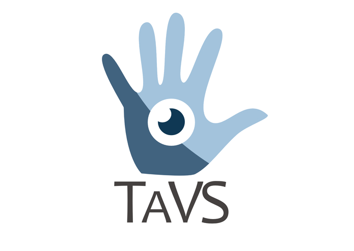 TaVS - Tactile Vision System  – screenshot 1