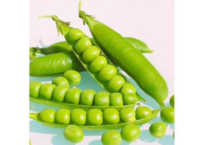 Peasburgh – screenshot 1