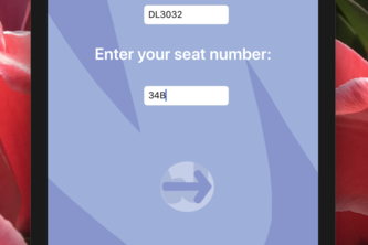In-Flight Assistant