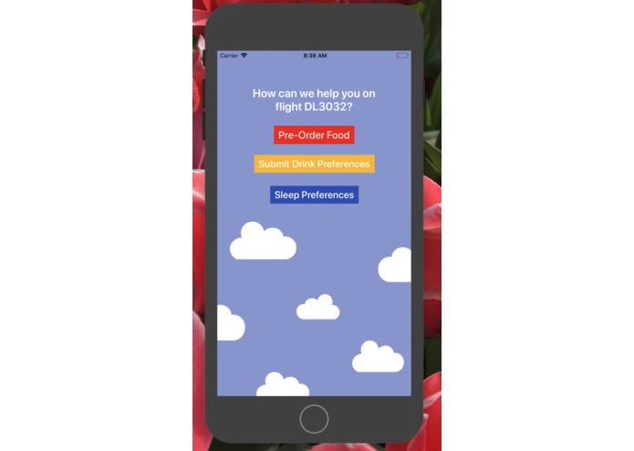 In-Flight Assistant – screenshot 2