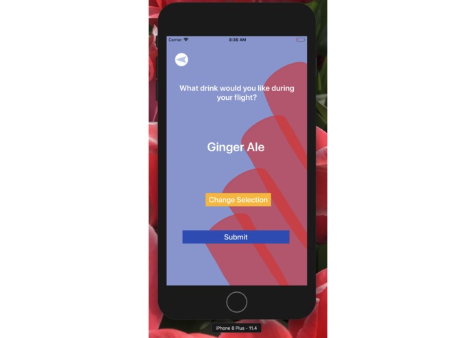 In-Flight Assistant – screenshot 4