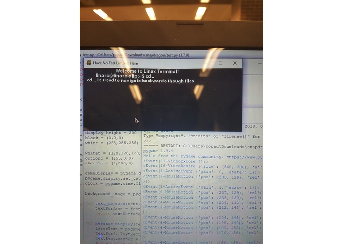 Follow the SnapDragon – screenshot 2