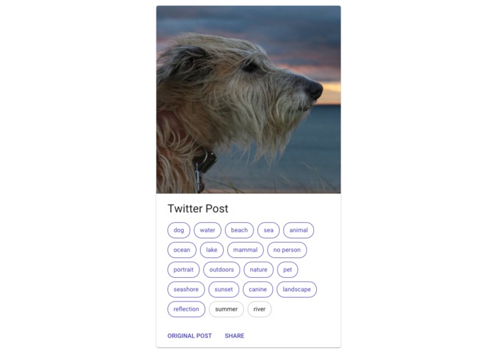 Snapability – screenshot 1