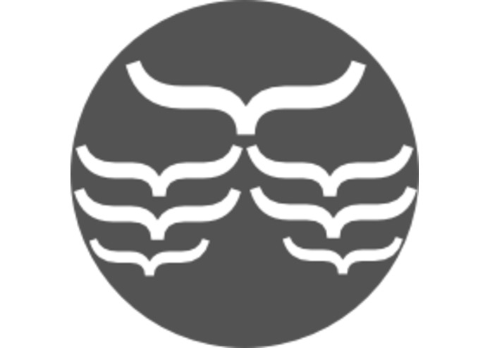 Flock – screenshot 1