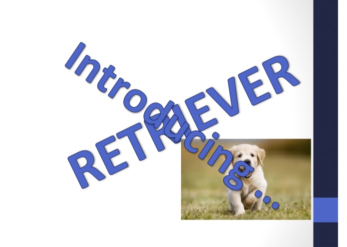 Retriever – screenshot 5