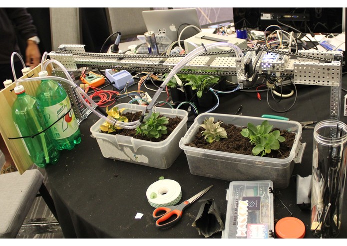 I Wet My Plants – screenshot 1