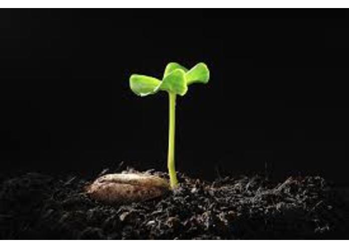 Agriloan - teamerudite – screenshot 1