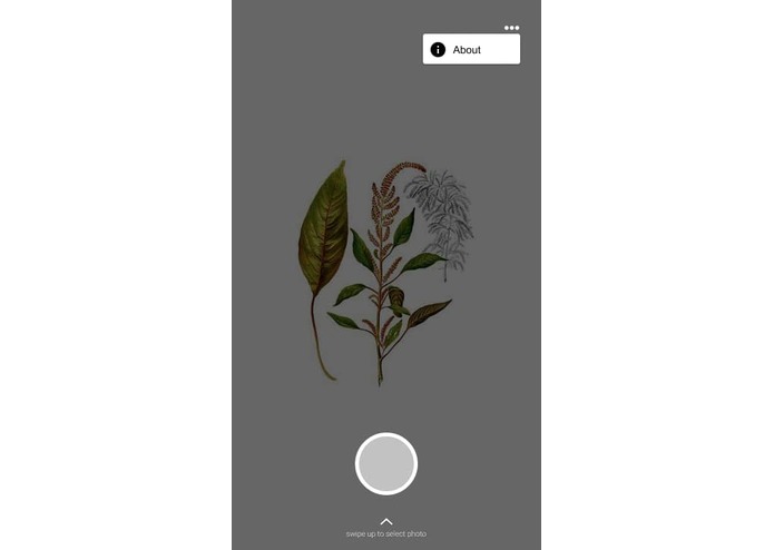 Plant Disease Recognition System – screenshot 3