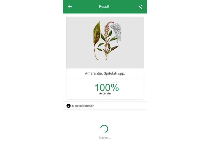 Plant Disease Recognition System – screenshot 5
