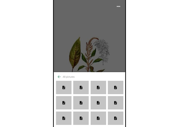 Plant Disease Recognition System – screenshot 8