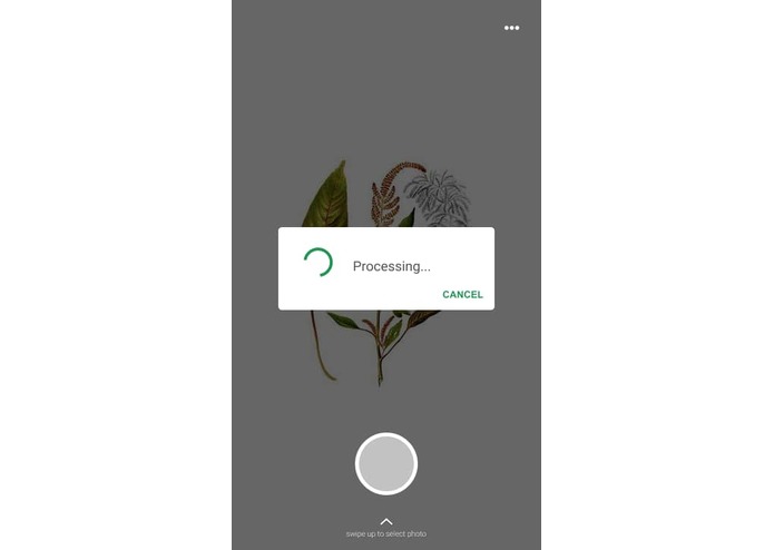 Plant Disease Recognition System – screenshot 10